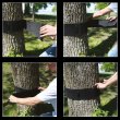 Slackline SCHILDKROT - Deluxe Tree Protector Kit