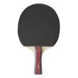 Pálka na stolní tenis SPARTAN Power