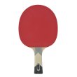 Pálka na stolní tenis DONIC Waldner 600