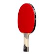Pálka na stolní tenis DONIC Waldner 600