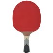 Pálka na stolní tenis DONIC Waldner 800