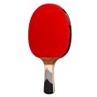 Pálka na stolní tenis DONIC Waldner 800