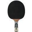 Pálka na stolní tenis DONIC Waldner 700