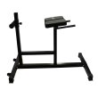 Posilovací lavice MASTER Hyperextenze Roman Chair