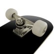 Skateboard MASTER Extreme Board