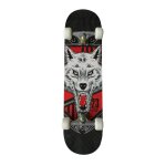 Skateboard MASTER Extreme Board