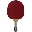 Pálka na stolní tenis DONIC Waldner 1000