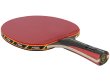 Pálka na stolní tenis STIGA Spica