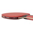Pálka na stolní tenis JOOLA Rosskopf Classic