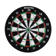 Terč MASTER Flocking 37 cm - oboustranný