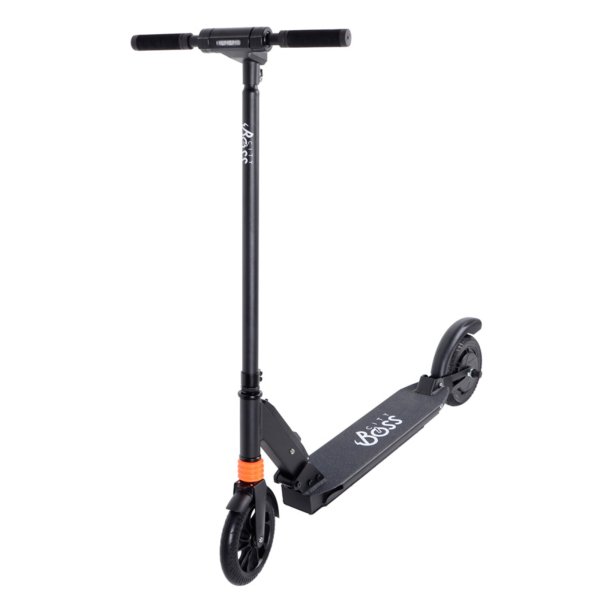 Elektrická koloběžka CITY BOSS GX2