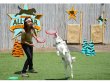 Frisbee - létající talíř AEROBIE Superdisc