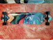 Longboard SCHILDKROT Freeride 41