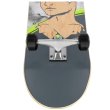 Skateboard SPOKEY Skalle Pro - šedý