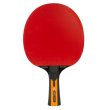 Pálka na stolní tenis JOOLA Carbon Control