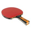 Pálka na stolní tenis JOOLA Carbon Control