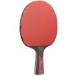 Pálka na stolní tenis JOOLA Carbon Speed