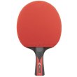 Pálka na stolní tenis JOOLA Carbon Speed