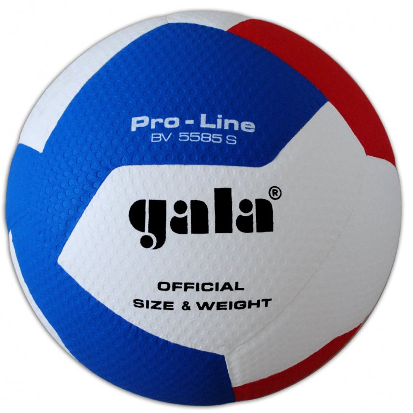 Volejbalový míč GALA Pro Line BV5585S