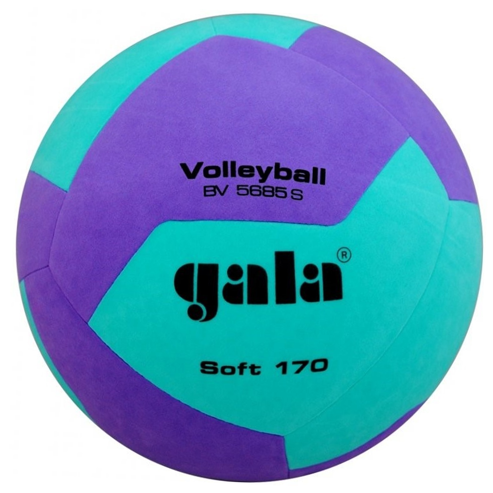 Volejbalový míč GALA Soft 170 BV5685S zeleno-fialový