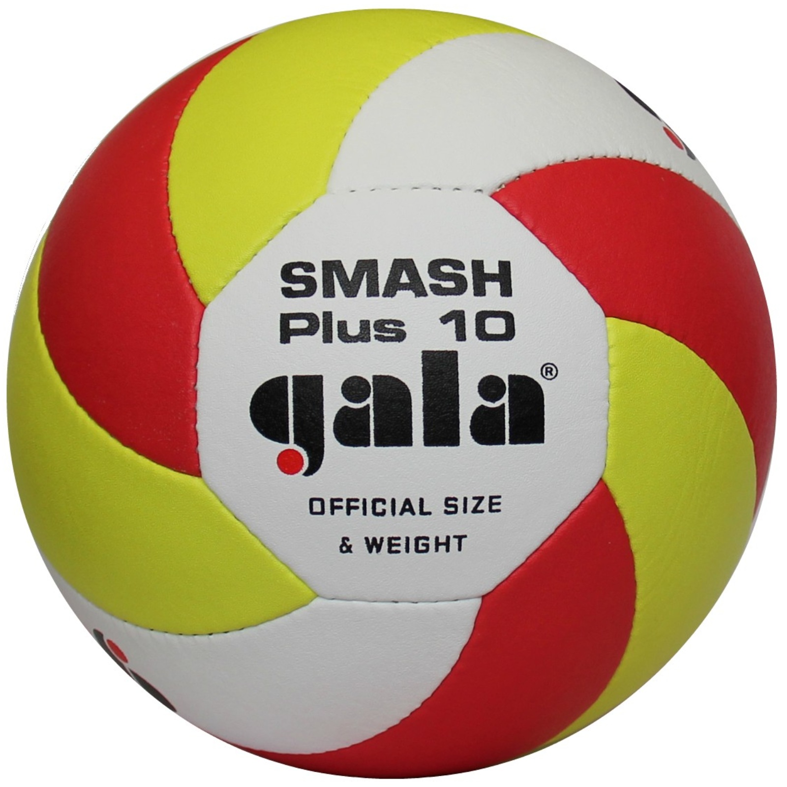 Levně Volejbalový míč GALA Beach Smash Plus 10 BP5163S