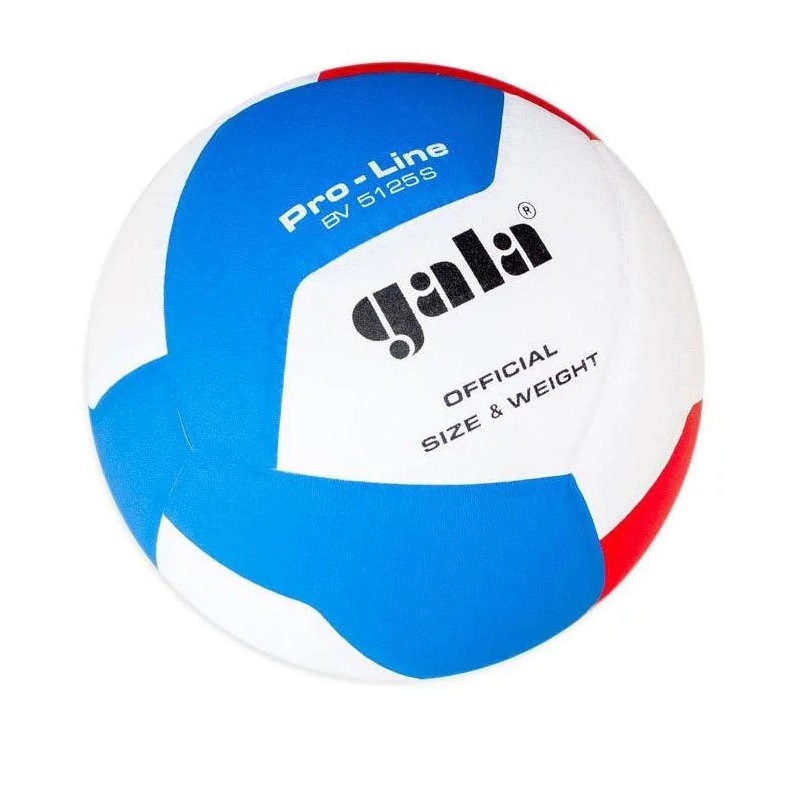 Levně Volejbalový míč GALA Pro Line BV5125S