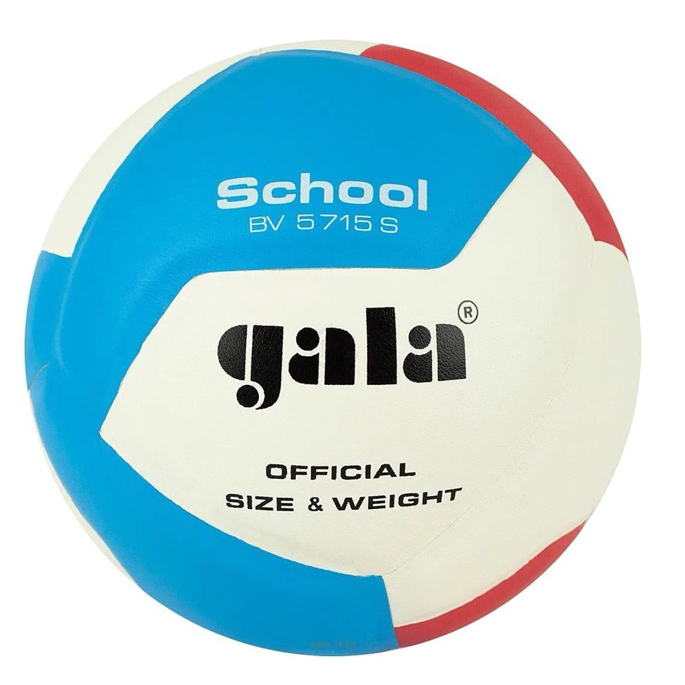 Levně Gala School Foam 5511 S