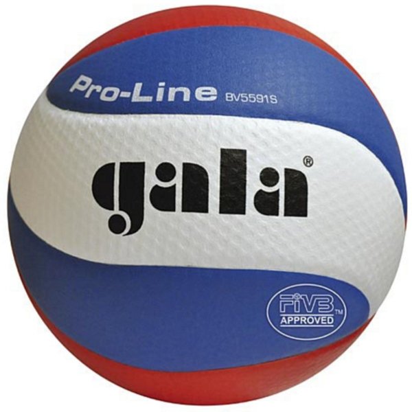 Volejbalový míč GALA Pro-Line BV5591S