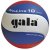 Volejbalový míč GALA Pro Line BV 5581S