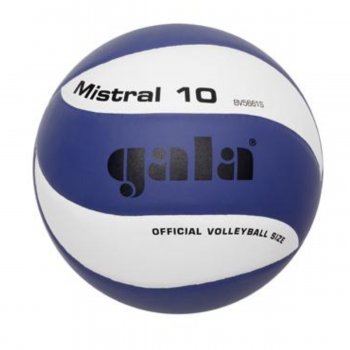 Volejbalový míč GALA Mistral BV5661