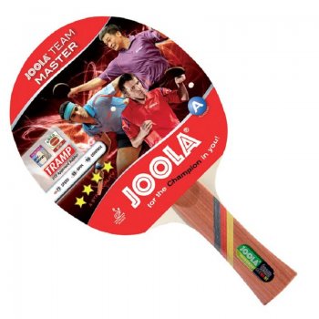 Plka na stoln tenis JOOLA Team Master