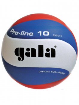 Volejbalov m GALA Pro Line 5121S