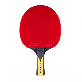 Plka na stoln tenis JOOLA Carbon Pro