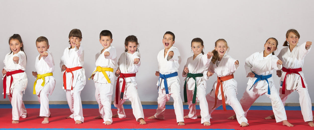 Co je lepší judo nebo karate?
